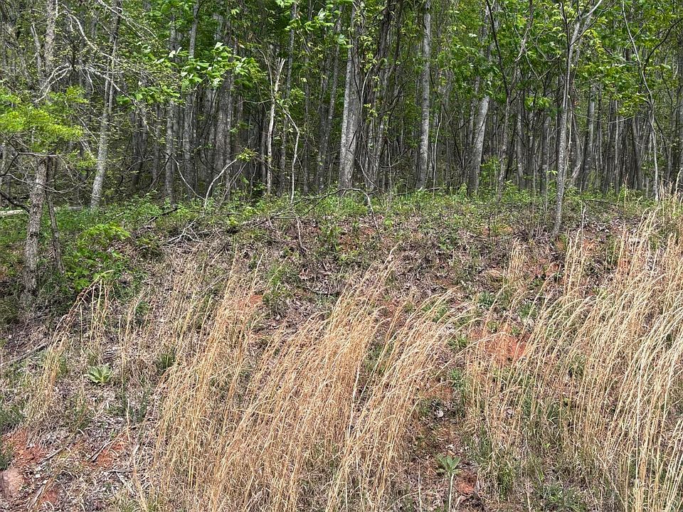 2nd image of Chimney Rock Rd