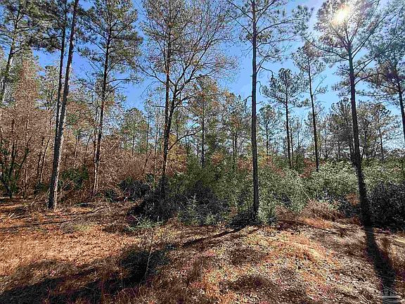 2nd image of 3 Creek Bluff Dr
