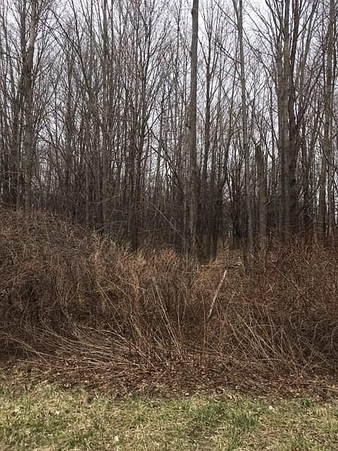 2nd image of 932 Salt Rd