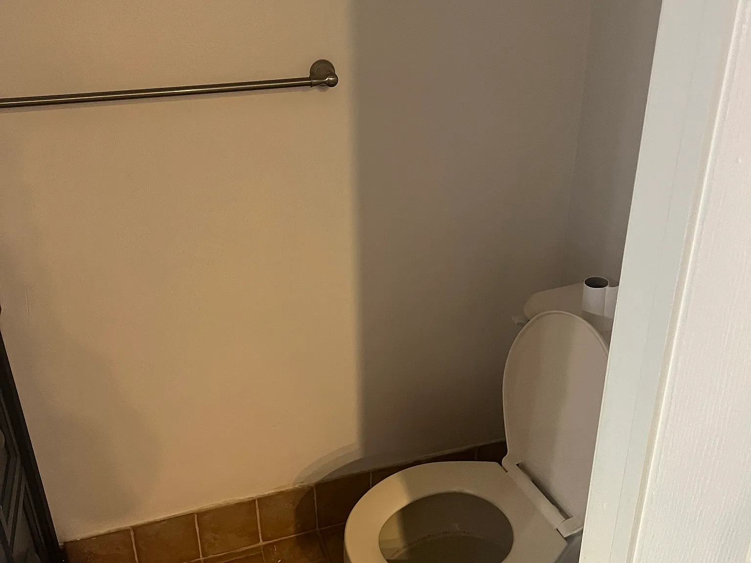 2 bed, 1000 sqft, $3,000 — Photo 4