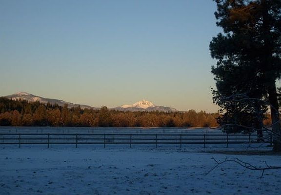 Morning view from front windows