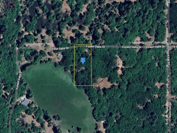11390 Forest Oaks