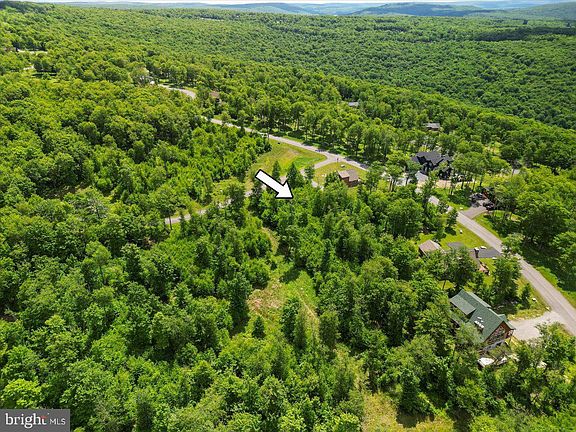 4th image of 31 Fox Run Dr