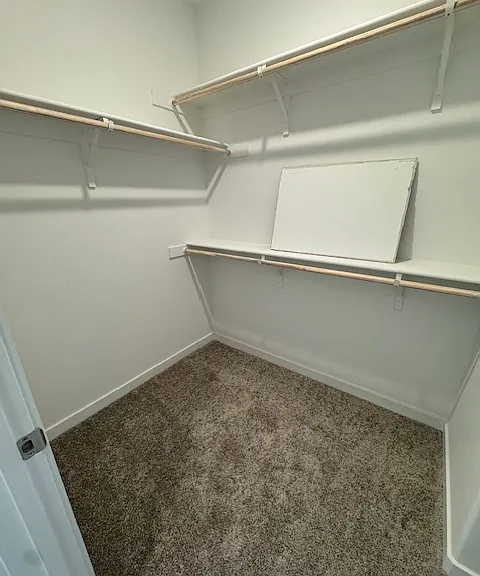 12662 Snowy Owl Way — Photo 29
