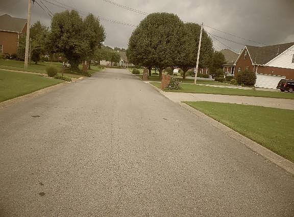 5th image of 394 Clarkston Dr