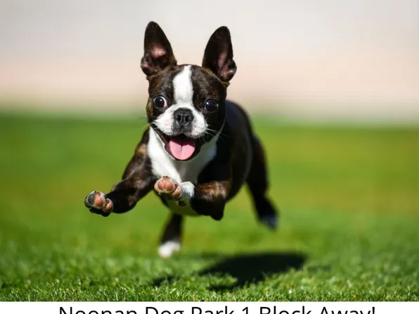 48-01 42nd Street image 42 of 49