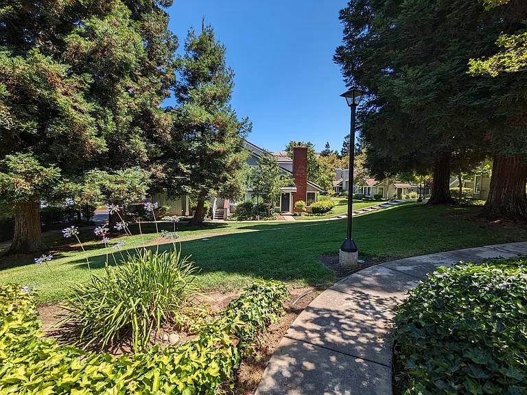 2585 Yerba Bank Ct — Photo 14