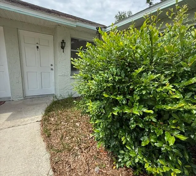 3041 Park Ln #B — Photo 2