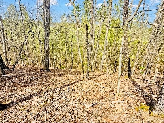 3rd image of 0 T Johnson Rd NE