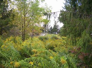 165 Kienitz Rd, Mc Donough, NY 13801