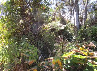 Nahelenani St Lot 53-B-359, Volcano, HI 96785
