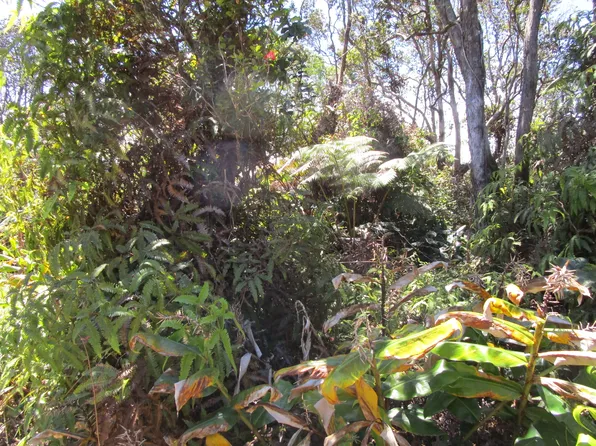 Nahelenani St Lot 53-B-359, Volcano, HI 96785
