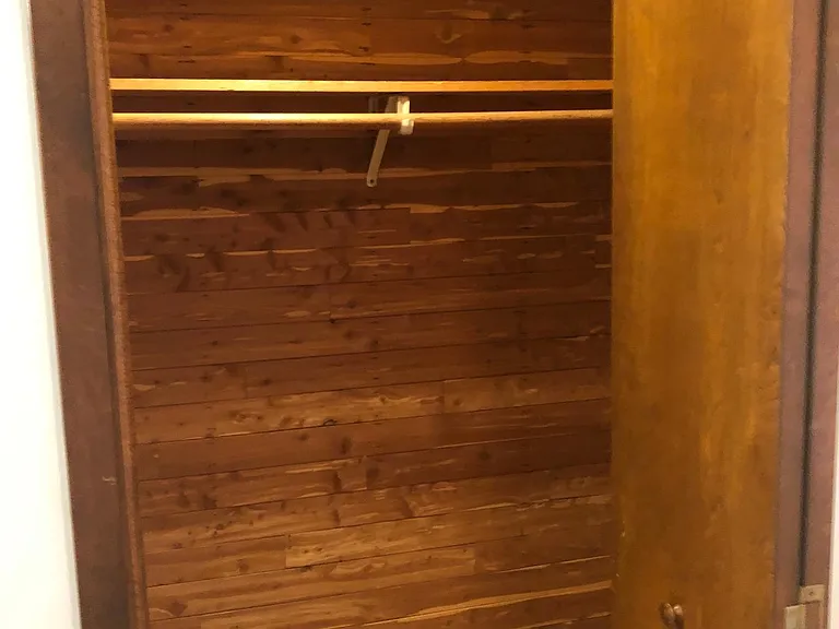 cedar closet for coats