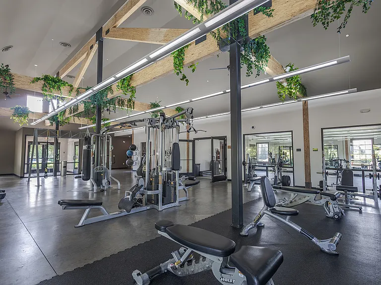 CODE Wellness center