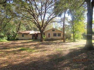 26035 Sackamaxon Dr, Mount Plymouth, FL 32776