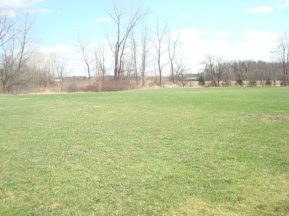 Back corner of property