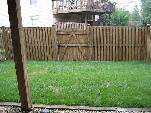Fenced Yard