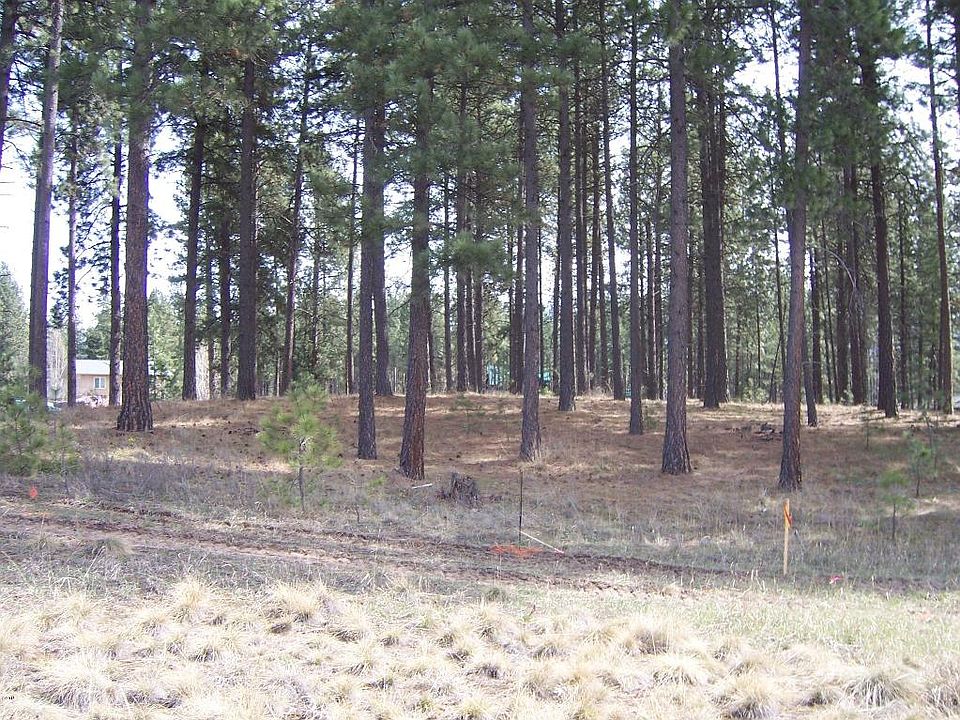 2nd image of Leanin Tree Ln