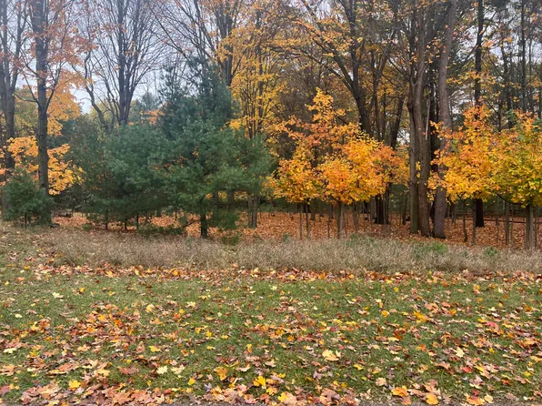 PARCEL Wythe St #B, Pentwater, MI 49449