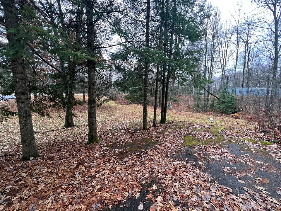 2nd image of 2925 Elm Ln