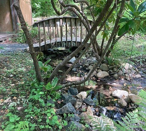 2nd image of 50 N Canvasback Place