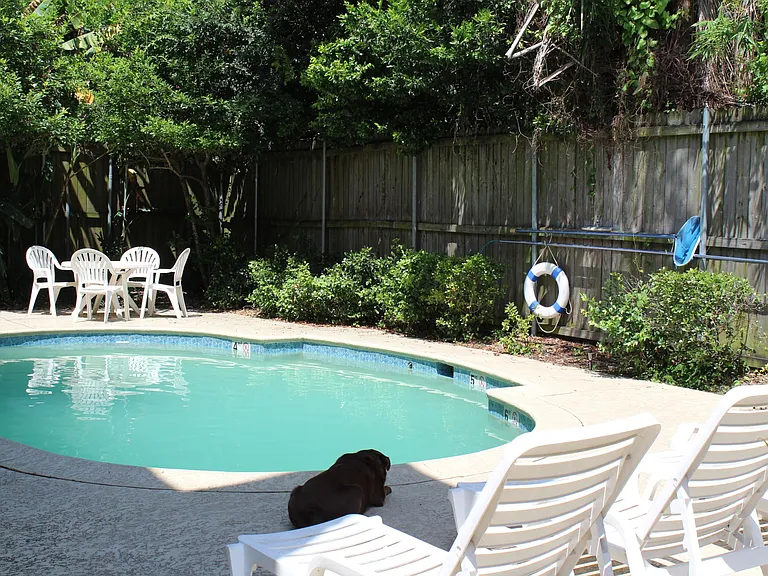 2833 Magazine St #206 — Photo 11