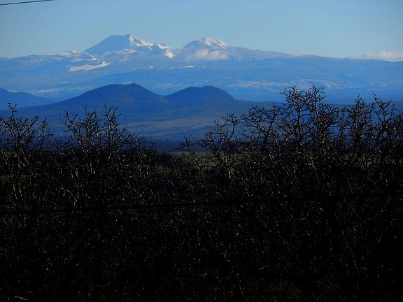 Lassen from front yard