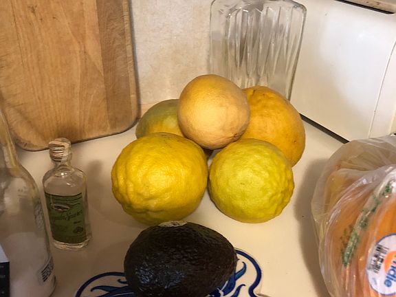lemons from the tree in yard