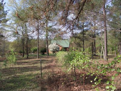 81 Brady Rd, Buena Vista, GA, 31803