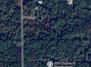 309 Chipola Dr, Georgetown, FL 32139