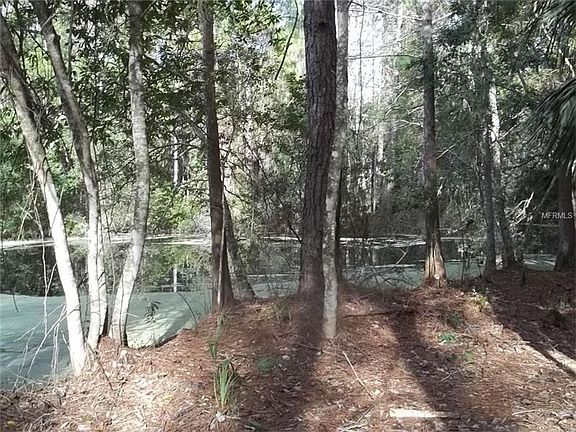 5th image of 1510 N Rock Cress Path