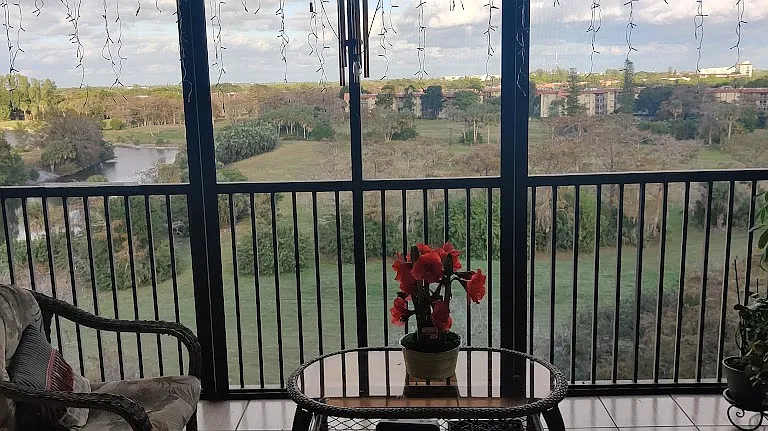 Balcony with lake view