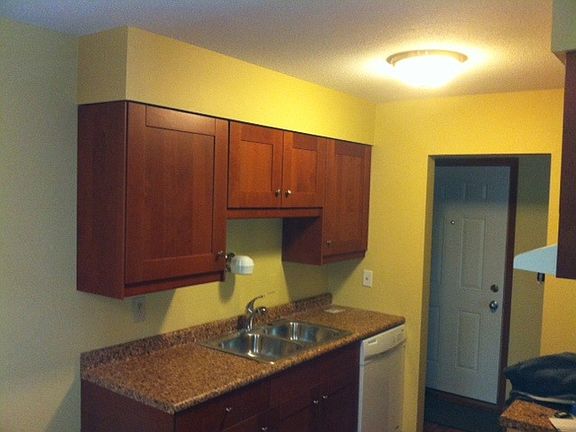 Brand new Ikea kitchen