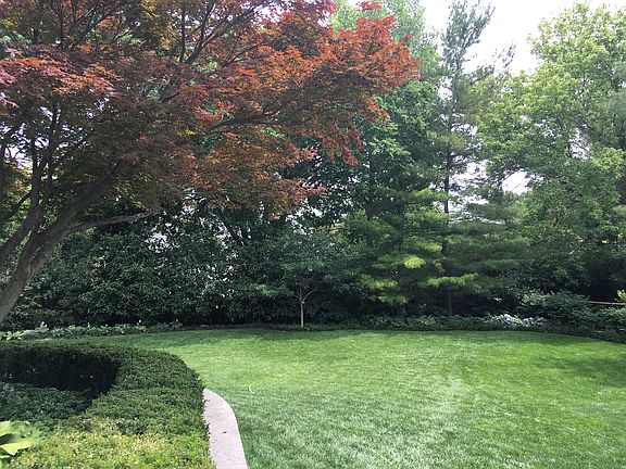 back yard view from kitchen