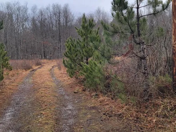 Camp Galilee Rd, Terra Alta, WV 26764