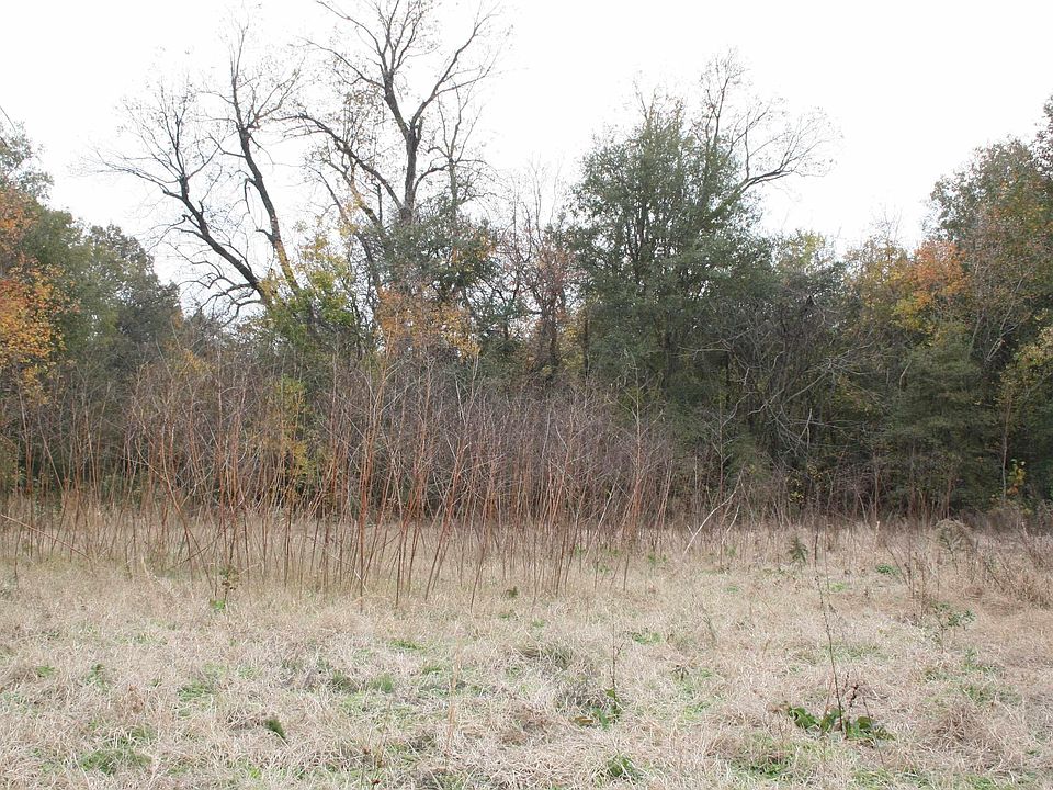 Ashley 209 S, Parkdale, AR 71661 MLS 23030043 Zillow