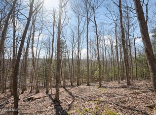 L116b Rossman Valley Rd, Summit, NY 12175