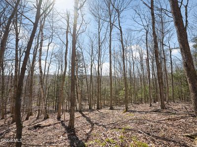 L11.6B Rossman Valley Rd, Summit, NY, 12175