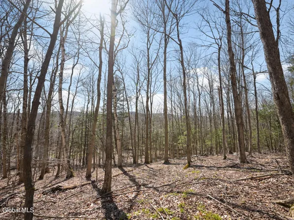 L11.6B Rossman Valley Rd, Richmondville, NY 12175