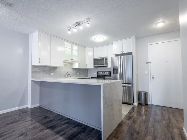801 S Plymouth Ct APT 417, Chicago, IL 60605