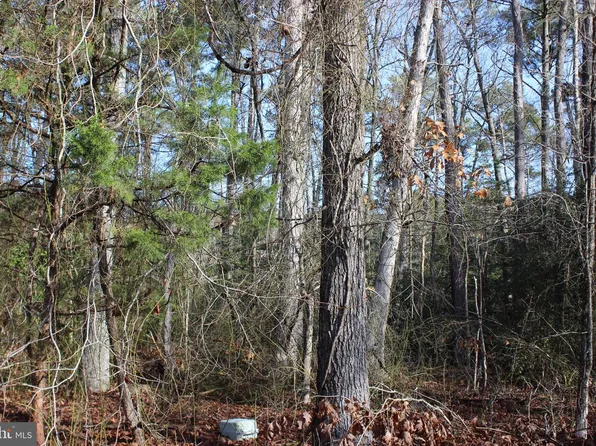 1975 Mayflower Dr, Greenbackville, VA 23356