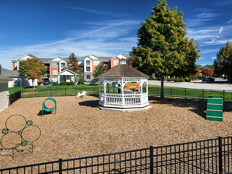 Dog Park