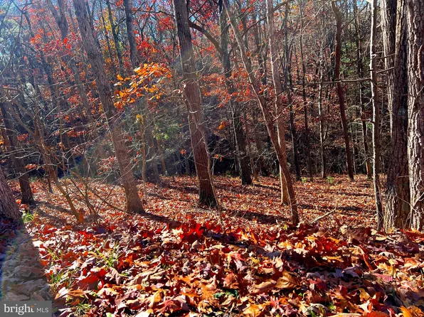 Brawley Ln Lot 12, Basye, VA 22810