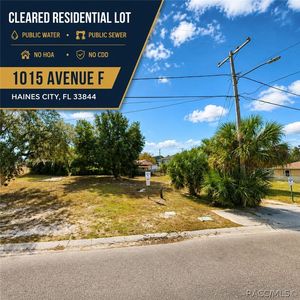 1015 Avenue F, Haines City, FL, 33844