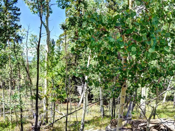266 Timberline Drive, Guffey, CO 80820