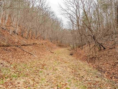 5693 Nunn Hollow Rd, Hiwassee, VA, 24347