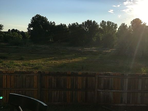 view from back patio