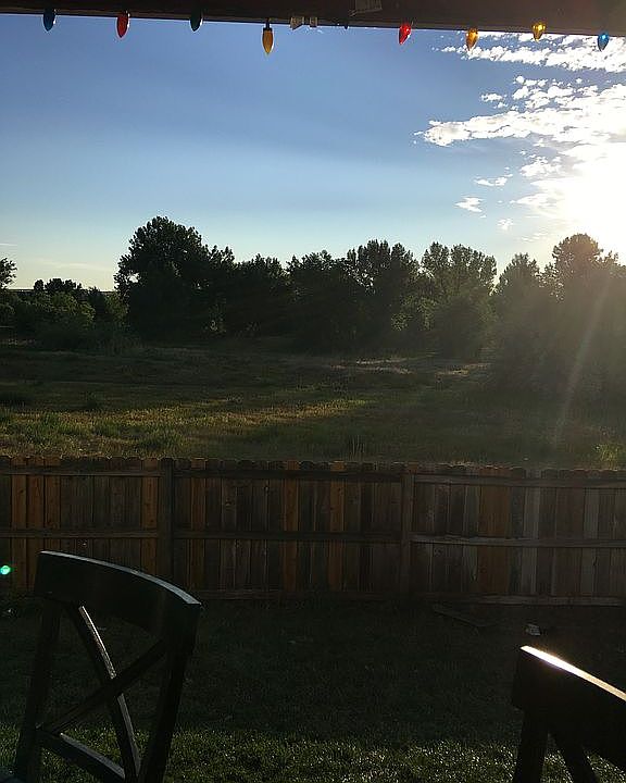 view from back patio