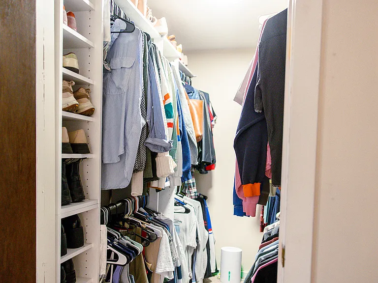 Primary Suite Walk-In Closet (Basement)
