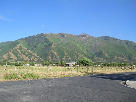 Views of Maple Mountain